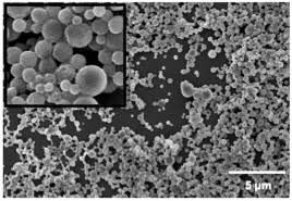 Alt-text: A grayscale microscope image around 25 nanometers wide that resembles irregular spheres clumped together. A cutaway zooms into clusters of spherical particles.